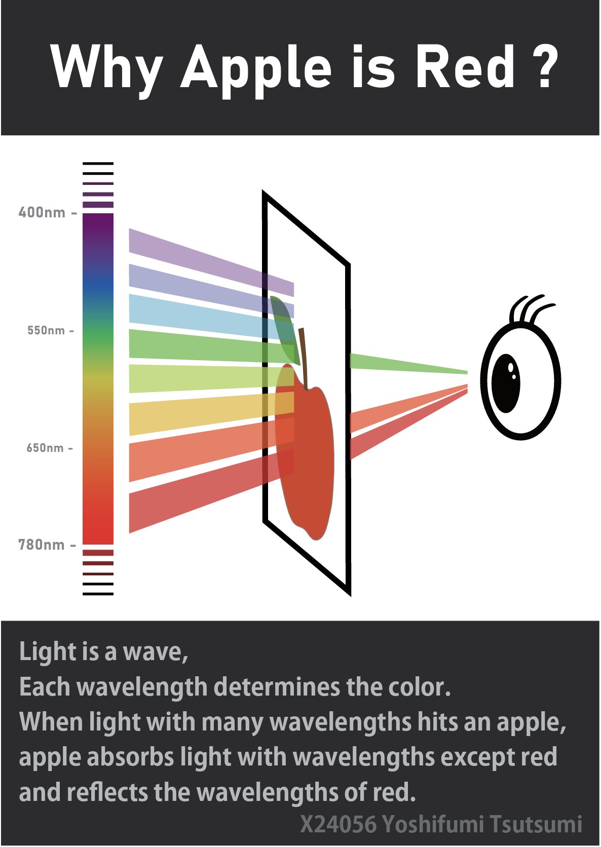 Visible Light Report